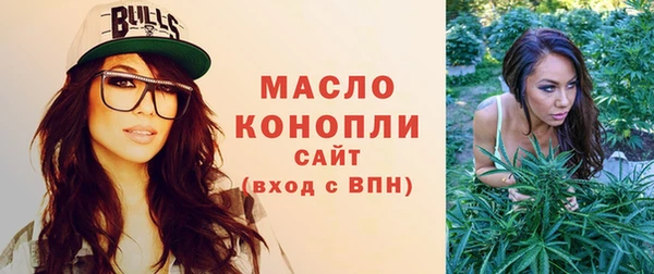 дмт Медногорск