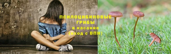 а пвп мука Мегион